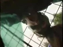 Slave used outdoors - Anal and latex