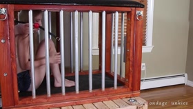 Caged up Toy