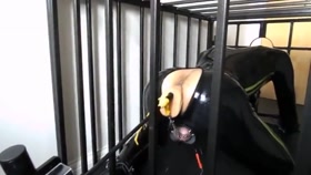 Bitch boy in cage for a fucking machine