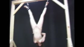 Inverted Suspension for Blowjob