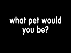 Pet Girl Life - Compilation