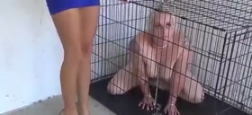 Lezdom - Pet Slave Training