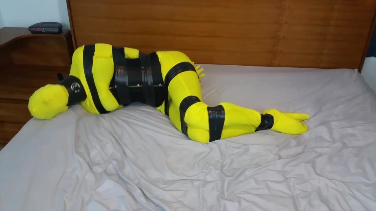 HD

Shiny Bound   Simone   Bumblebee Buzzed